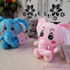 Meet your Posher, Dawson